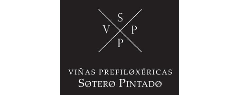 Weingut Bodegas y Viñedos Sotero Pintado Spanien Castilla y Leon 